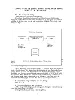 các hệ thống thông tin quản lý trong kinh tế và thương mại