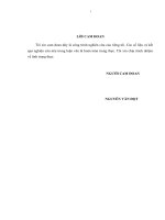 Một số giải pháp nâng cao khả năng huy động vốn của các Doanh nghiệp nhỏ và vừa tại thị xã Dĩ An, tỉnh Bình Dương