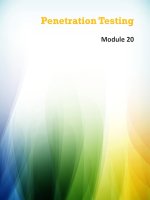 CEHv8 module 20 penetration testing