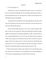 Tìm hiểu thực trạng và giải pháp nâng cao chất lượng kế toán nguyên vật liệu và công cụ dụng cụ tại công ty cổ phần lương thực và dịch vụ quảng nam