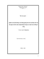 Nghiên cứu ảnh hưởng của thăng giáng lên độ cảm điện môi của hệ nguyên tử ba mức năng lượng