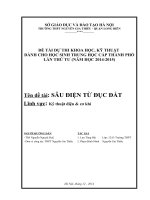 SÂU ĐIỆN TỪ ĐỤC ĐẤT CỦA LƯU TÙNG HẢI