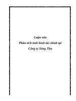 luận văn phân tích tình hình tài chính tại công ty sông thu - luận văn, đồ án, đề tài tốt nghiệp