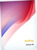 CEHv8 module 08 sniffing