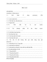 Đồ án tôt nghiệp Thiết kế dây chuyền sản xuất nhựa polystyren