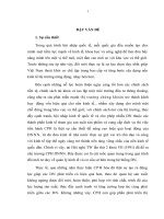 Nghiên cứu hiệu quả sản xuất kinh doanh và định giá doanh nghiệp sau cổ phần hóa tại Công ty Cổ phần Tập đoàn Tân Mai –Tỉnh Đồng Nai