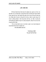 Nghiên cứu đặc điểm di truyền và một số chỉ tiêu năng suất của ba giống lạc Sen Nghệ An