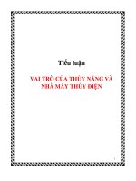 tiểu luận vai trò của thủy năng và nhà máy thủy điện - luận văn, đồ án, đề tài tốt nghiệp