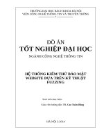 Xây dựng hệ thống kiểm thử bảo mật website dựa trên kỹ thuật fuzzing