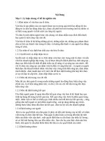 Giới thiệu về công ty Viettel – chi nhánh Hồ Chí Minh và phân tích thực trạng nhân tố của văn hóa tổ chức ảnh hưởng đến người lao động trong công ty Viettel – chi nhánh Hồ Chí Minh