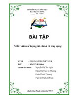 Bài tập lớn môn kinh tế lượng tài chính và ứng dụng