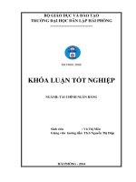 một số biện pháp nâng cao hiệu quả hoạt động tín dụng tại ngân hàng thương mại cổ phần phát triển thành phố hồ chí minh chi nhánh hải đăng