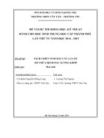 tách chiết tinh dầu cây lá lốt để chữa bệnh đau xương khớp