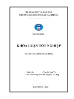 một số biện pháp phát triển hoạt động tín dụng cá nhân tại ngân hàng thương mại cổ phần phát triển thành phố hồ chí minh – chi nhánh hải đăng ﻿