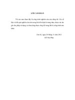 tiểu luận thực trạng và giải pháp phát triển bền vững du lịch ở cù lao chàm tỉnh quảng nam