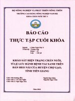 báo cáo tốt nghiệp khảo sát hiện trạng chăn nuôi, tỉ lệ lưu hành bệnh tai xanh trên đàn heo nái của huyện chợ gạo - tiền giang