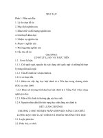 NGHIÊN CỨU LUẬT CHÍNH TẢ