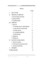báo cáo hệ thống điều khiển đèn giao thông - luận văn, đồ án, đề tài tốt nghiệp