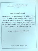 báo cáo tổng kết huyện xuân lộc tỉnh đồng nai