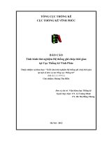 Tình hình thử nghiệm Hệ thống ghi chép thời gian tại Cục thống kê Vĩnh Phúc