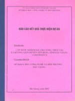 báo cáo kết quả thực hiện dự án cấp nước sinh hoạt cho nông thôn tại tỉnh bắc giang