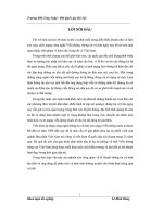 luận văn nghiên cứu tổng quan về lý thuyết thông tin vệ tinh địa tĩnh và ứng dụng để phân tích và tính toán đường truyền cho kênh thuê riêng qua vệ tinh