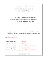 sử dụng rau húng quế để xua muỗi và màng silic để diệt bọ gậy phòng chống sốt xuất huyết