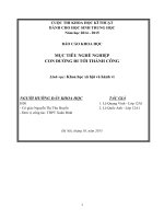 Mục tiêu nghề nghiệp con đường tới thành công