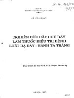 nghiên cứu cây chè dây làm thuốc điều trị bệnh loét dã dày, hành tá tràng