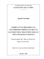 tóm tắt luận án tiến sĩ sinh học nghiên cứu sự biến động của glycoprotein thời kỳ có chửa và lactogen nhau thai trâu đầm lầy vn