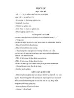 một số biện pháp chỉ đạo việc soạn giáo án lên lớp ở trường tiểu học gia cẩm – thành phố việt trì