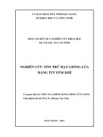 NGHIÊN CỨU TỒN TRỮ HẠT GIỐNG LÚA BẰNG TÚI YẾM KHÍ