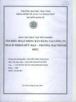 luận văn quản trị kinh doanh tìm hiểu hoạt động bán hàng tại công ty tnhh thành hiếu trà vinh