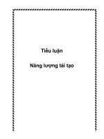 tiểu luận năng lượng tái tạo - luận văn, đồ án, đề tài tốt nghiệp