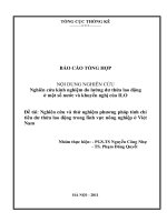 Nghiên cứu kinh nghiệm đo lường dư thừa lao động ở một số nước và khuyến nghị của ILO