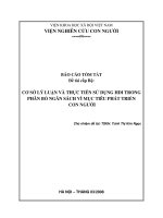 Cơ sở lý luận và thực tiễn sử dụng HDI vào phân bổ ngân sách vì mục tiêu phát triển con người