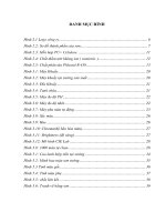 BÁO cáo THỰC tập tại CÔNG TY cổ PHẦN đầu tư xây DỰNG OSC