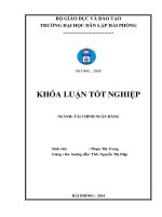 một số biện pháp nâng cao hiệu quả hoạt động huy động vốn tại ngân hàng thương mại cổ phần phát triển thành phố hồ chí minh - chi nhánh hải đăng