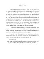 Thực trạng và một số giải pháp nhằm hoàn thiện chính sách marketing  mix tại công ty cổ phần thương mại tổng hợp tỉnh bà rịa  vũng tàu