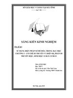 sử dụng phương pháp sơ đồ hóa trong dạy học chương 1_cơ chế di truyền và biến dị_sinh học 12