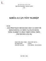 giải pháp hạn chế rủi ro cho vay đối với khách hàng cá nhân tại ngân hàng nông nghiệp và phát triển nông thôn chi nhánh láng hạ