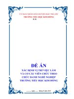 ĐỀ ÁN  XÁC ĐỊNH VỊ TRÍ VIỆC LÀM VÀ CƠ CẤU VIÊN CHỨC THEO  CHỨC DANH NGHỀ NGHIỆP  TRƯỜNG TIỂU HỌC KIM ĐỒNG
