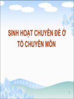 SINH HOẠT CHUYÊN ĐỀ Ở TỔ CHUYÊN MÔN