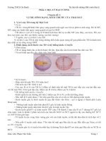 Tài liệu bồi dưỡng HSG môn Địa lý  ĐỊA LÝ ĐẠI CƯƠNG