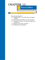 Kế toán Mỹ  Bài tập mẫu về Account Receivable and Bad Dept