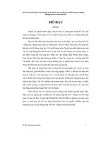 Đồ án bước đầu nghiên cứu khả năng di chuyển của các chất gây ô nhiễm trong môi trường đất ngập nước ven sông sài gòn