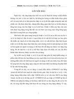 tìm hiểu cấu trúc và đặc tính của vi mạch điều khiển AT90S8535