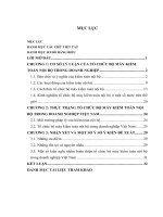 tổ chức bộ máy kiểm toán trong doanh nghiệp việt nam