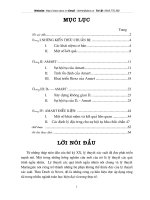 nghiên cứu sự hội tụ của dv - amart