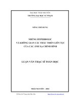 nhúng hyperbolic và không gian các thác triển liên tục của các ánh xạ chỉnh hình